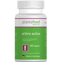 Артро-актив 40 шт. капс.