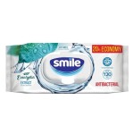 Салфетки влажные, Smile (Смайл) 120 шт В антибактериальные эвкалипт с клапаном