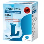 L-Карнитин, Power System (Пауэр Систем) табл. жев. №80 вишня